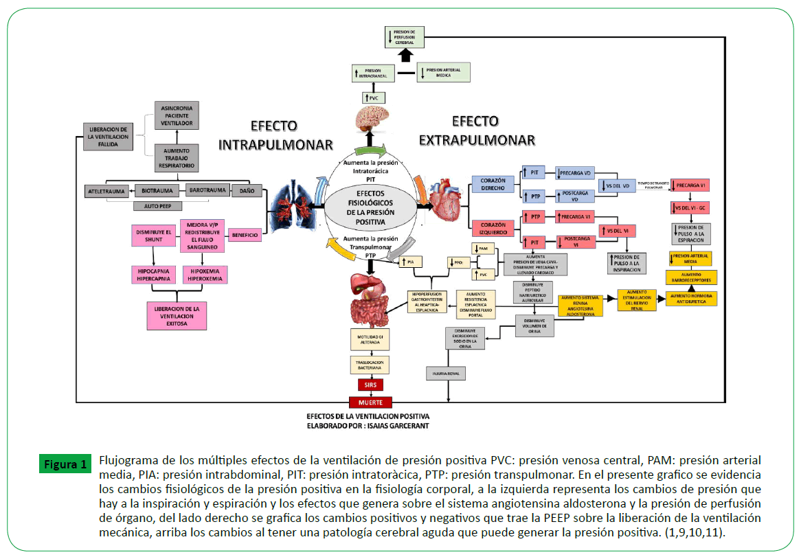 archivosdemedicina-izquierda-representa