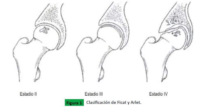 Archivos-Medicina-Ficat