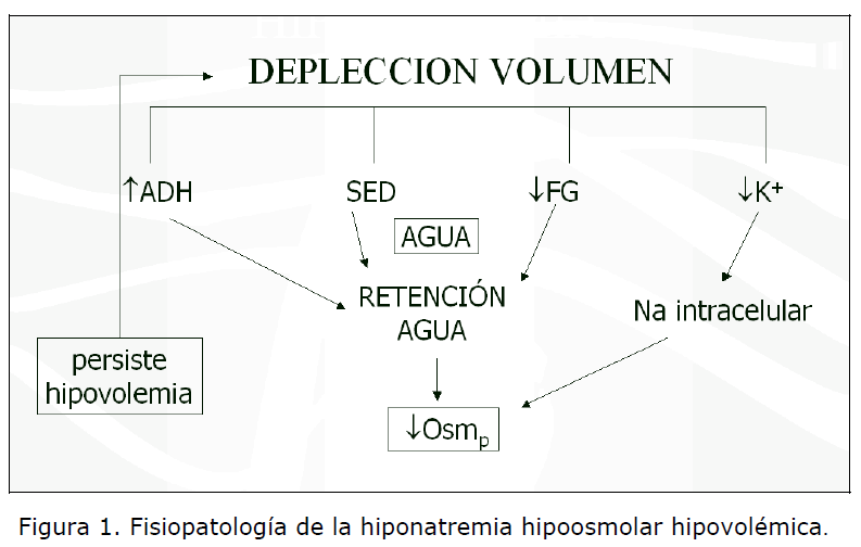 algoritmo de tratamiento de hipernatremia para diabetes algoritmo de tratamiento de hipernatremia para diabetes