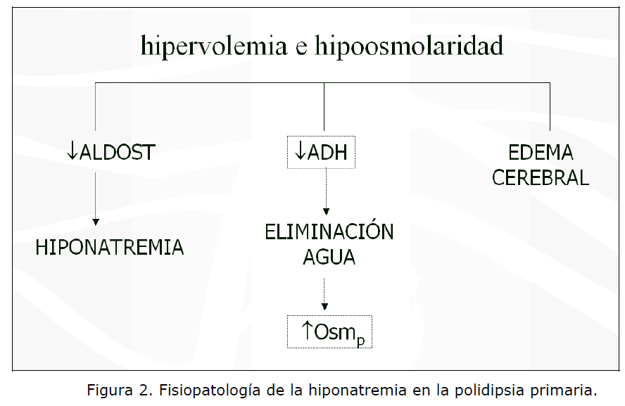 mecanismo de polidipsia en diabetes