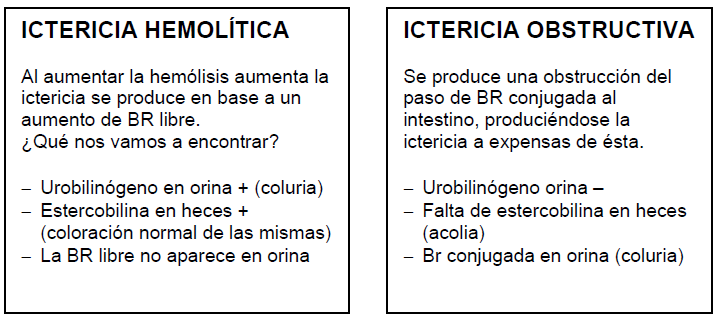 cuando se eleva la bilirrubina indirecta