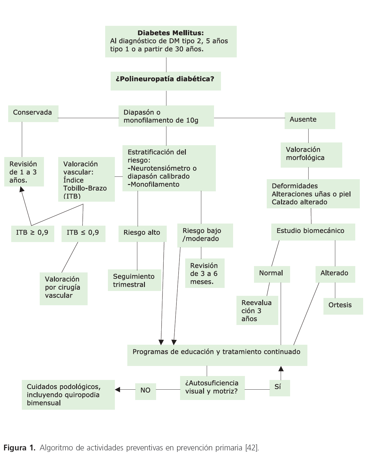 Origen de la diabetes mellitus tipo 2