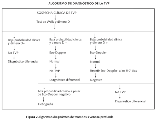 factores de riesgo de trombosis venosa profunda